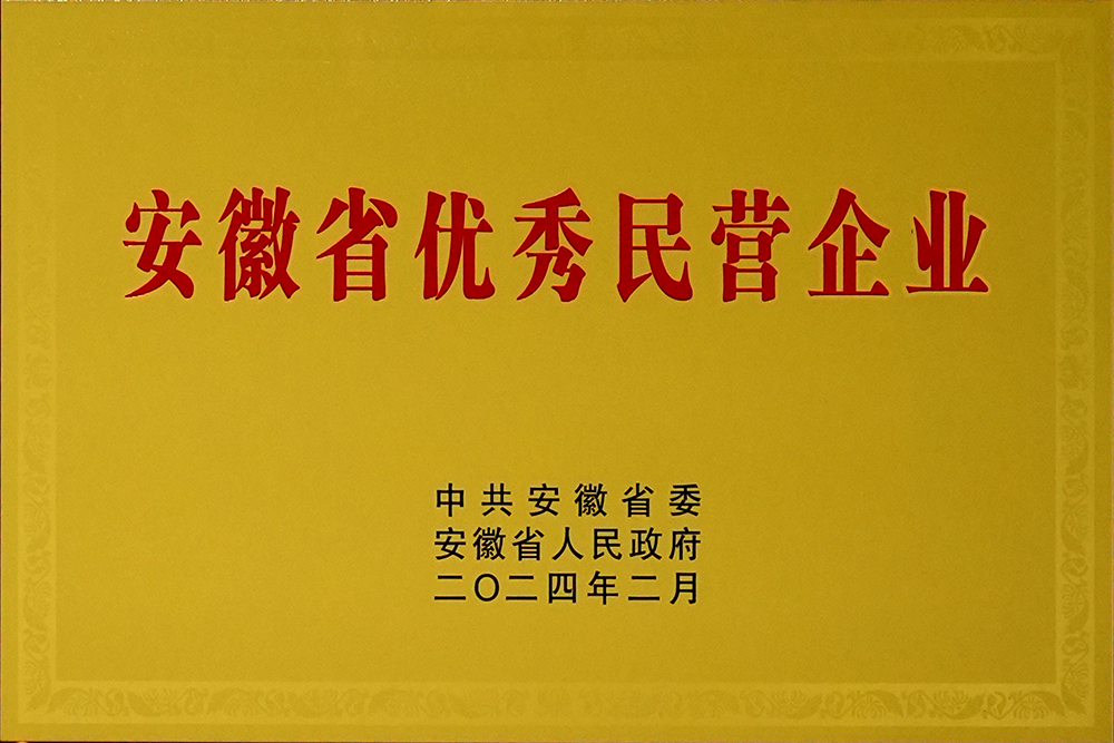 安徽省新春**會，豪家股份榮獲“安徽省百名優(yōu)秀民營企業(yè)”稱號